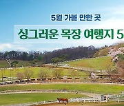 5월 가볼 만한 곳…싱그러운 목장 여행지 5곳