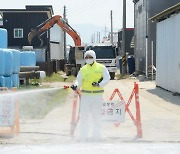 구제역 4년 만에 발병... 청정국 지위 회복 불투명