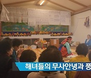 [제시카] 구좌읍 해녀들이 올리는  해신제