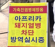 깊은 밤 드론 띄워 야생 멧돼지 쫓는다