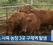 청주 소 사육 농장 3곳 구제역 발생