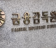 금감원, 보험계약마진(CSM) 논란 관련 회계 세부기준 마련 예정