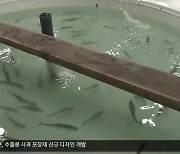 [여기는 포항] K-연어 산업화…스마트 양식 단지 조성