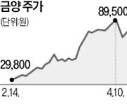 800억으로 100조원대 광산 확보?…자사주 매각 앞둔 금양에 무슨 일이