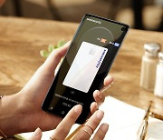 Speculation over Samsung Pay turning to paid service intensifies