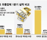 1분기 실적 열어보니...롯데쇼핑 '화색' 이마트 '미끌'