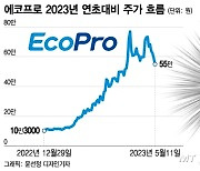 이동채 에코프로 회장 2심 법정구속…2차전지주 '주르륵'