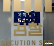 항공화물 속 숨겨둔 엑스터시·필로폰 딱 걸렸다…30대 2명 재판행