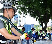 파워풀페스티벌·동성로축제 앞두고 물청소 실시