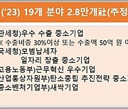 관세청, 관세조사 유예 19개 분야로 대폭 확대…수출기업 지원