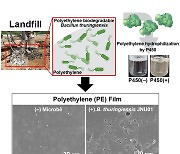 전남대 생명과학연구팀 "비닐봉투 분해 미생물 발견…학계보고"
