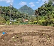 쌀값 폭락하는 마당에 토종씨앗 농사를 짓습니다 [해시태그 #지역 시즌2]