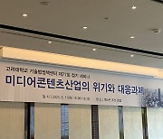 "넷플릭스·디즈니+진격에.. 토종 OTT 위기"