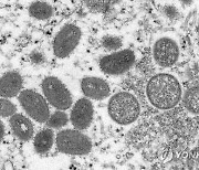 엠폭스도 보건 비상사태 풀리나…WHO "발병 통제 꾸준한 진전"(종합)