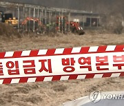 청주 소 사육 농장서 구제역 추가 발생…총 3곳으로 늘어