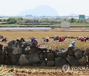 강한 햇볕에 자외선 주의…낮 동안 대부분 지역 '매우 강함'