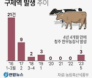 [그래픽] 구제역 발생 추이