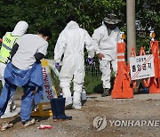 구제역 발생한 한우 농장 들어가는 방역 관계자들