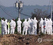 구제역 발생한 한우 농장 들어가는 방역 관계자들