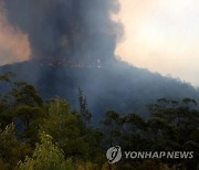 3년 연속 이어진 이례적 라니냐 '주범'은 호주 대형 산불