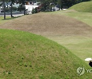 함안 말이산 고분군…유네스코 세계유산 등재 권고