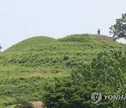 함안 말이산 고분군 산책