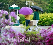 수도권 미세먼지 ‘나쁨’…남부지방 비소식[내일날씨]