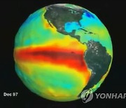 "올여름 엘리뇨 때문에 가장 더운 여름 될 가능성"