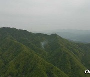 철원 야산 군사격장서 불…1시간50분만에 불길 잡아