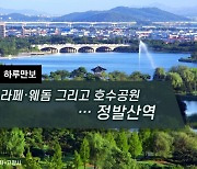 [하루만보]라페·웨돔 그리고 호수공원…정발산역