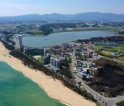 강릉 산불 고사목 벌목 중 근로자 숨져… 고용노동부 “중대재해법 여부 조사”