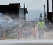 구제역 발생 3㎞ 반경에 한우농가 230곳… 고깃값 오르나