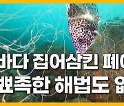 [자막뉴스] 폐어구에 병드는 바다 속수무책.. 경제적 손실도 4천억