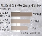 [가치소비 '디깅 강원'] 세계 설탕 가격‘ 껑충’ 11년 6개월 만에 최고 쓴맛 나는 먹거리 물가