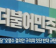 민주당 “오염수 결의안 구의회 잇단 반대 규탄”