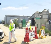 구제역 농가 1곳 추가 확진…인근 지역 방역 총력