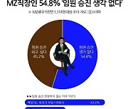 MZ세대 절반 "임원 승진 생각없다…회사도 불만족"