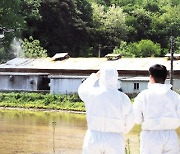 드론 카메라로 야생 멧돼지 추적 농림부, 가축전염병 차단 총력전