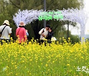 4년 만에 '서래섬 유채꽃 축제' 개막