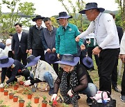 '나무 심기 44년'…전국 유일 명맥 잇는 경남 고향사랑