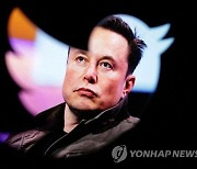 머스크 "사임"에 테슬라 주가 ↑···"새 CEO 6주 내 업무 시작"