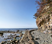 [걷고 싶은 길] 한반도 동쪽 끝 호미반도 해안 둘레길