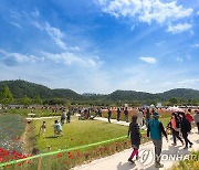 태화강 국가정원 봄꽃축제 19일 개막…'정원 체험하러 오세요'