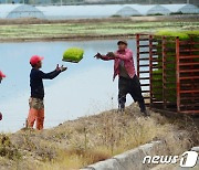 횡성군 농가 일손 도울 외국인 계절근로자 195명 입국