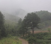 [날씨] 주말, 한낮 따뜻...큰 일교차, 오후부터 곳곳 소나기