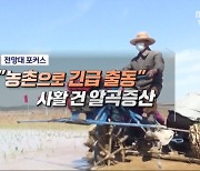 "농촌으로 긴급 출동" 사활 건 알곡증산