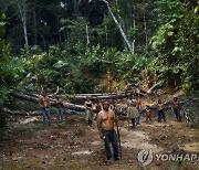 아마존 삼림 손실 작년 동기대비 40% 감소…근 3년간 최소