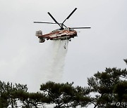 태백 철암동 산불…30여분만 진화했지만 산림 66㎡ 소실