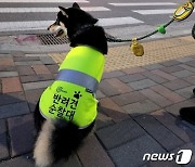 길 잃은 지적장애인, 서울 반려견 순찰대 '쿠로'가 발견했다