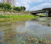 "도심 하천서 악취, 산책 힘들다" 민원…제천시, 현장 확인